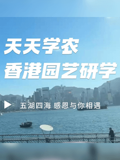 与香港园艺学会联合举办香港园艺研学，专业园境师带队讲解。