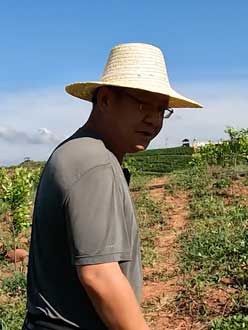 农业人叶涛，50多岁通讯人跨界搞农业，他要用1000万打造一个梦。